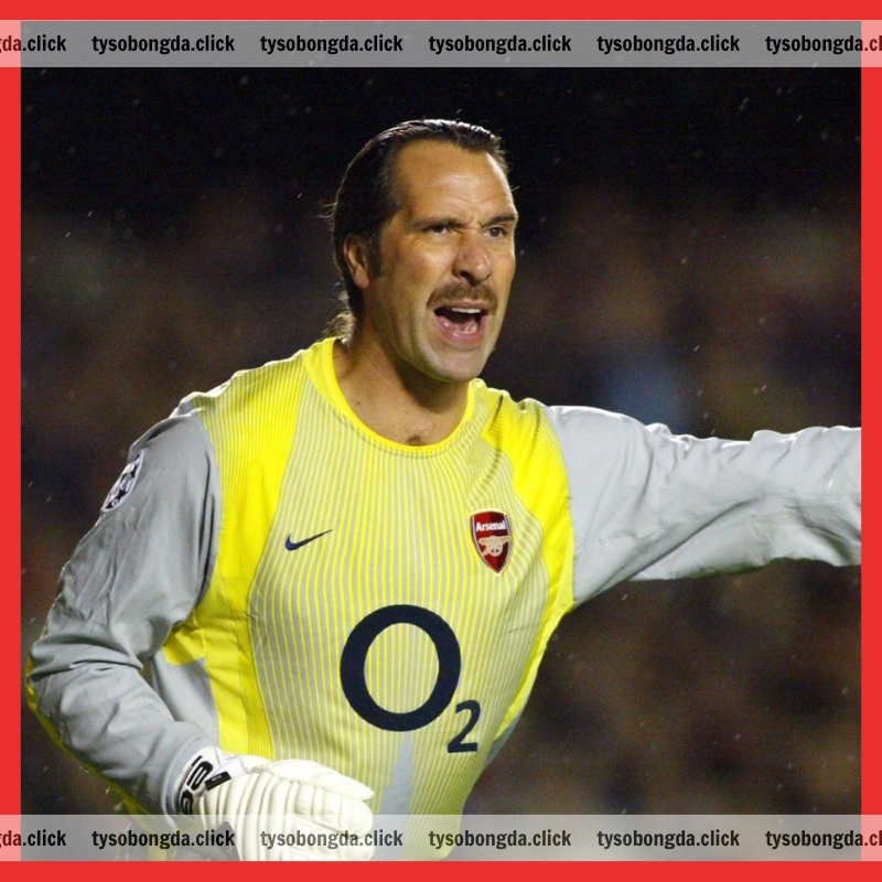 Cầu thủ Arsenal xuất sắc nhất David Seaman